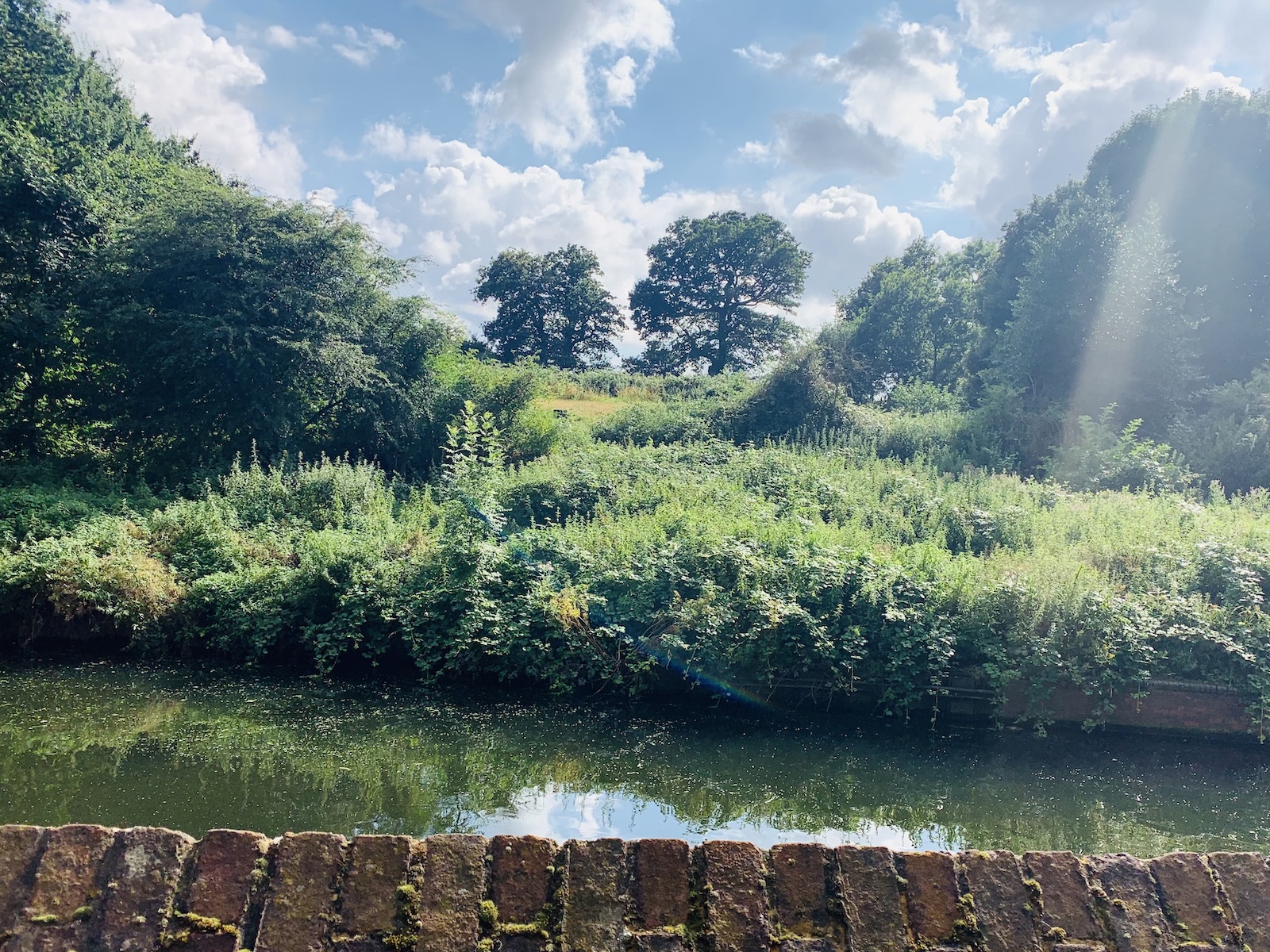 sun rays in brent river park